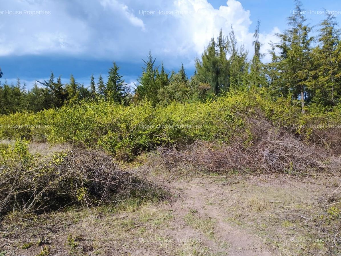 0.25 ac Land at Nalanya - 6