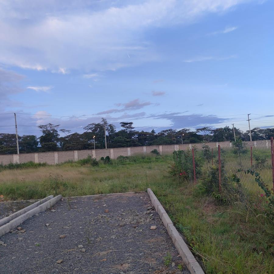 0.5 ac Land at Mokoyeti Road - 5