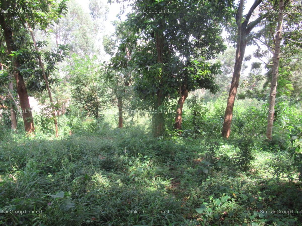 1 ac Land at Runda Grove - 9