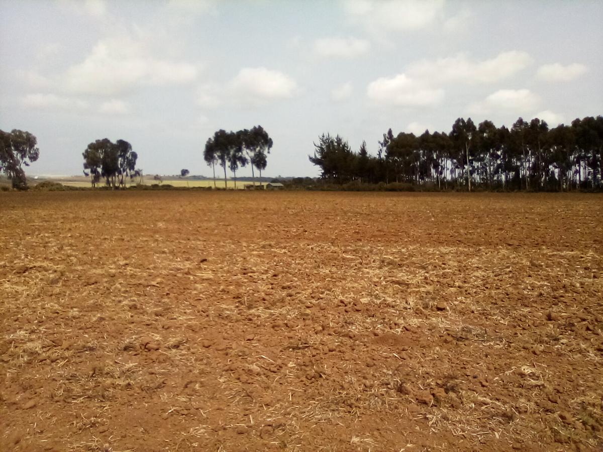 Land at Timau - 2