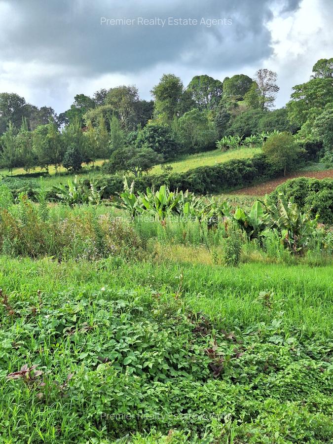 1 ac Residential Land at Tigoni - 5