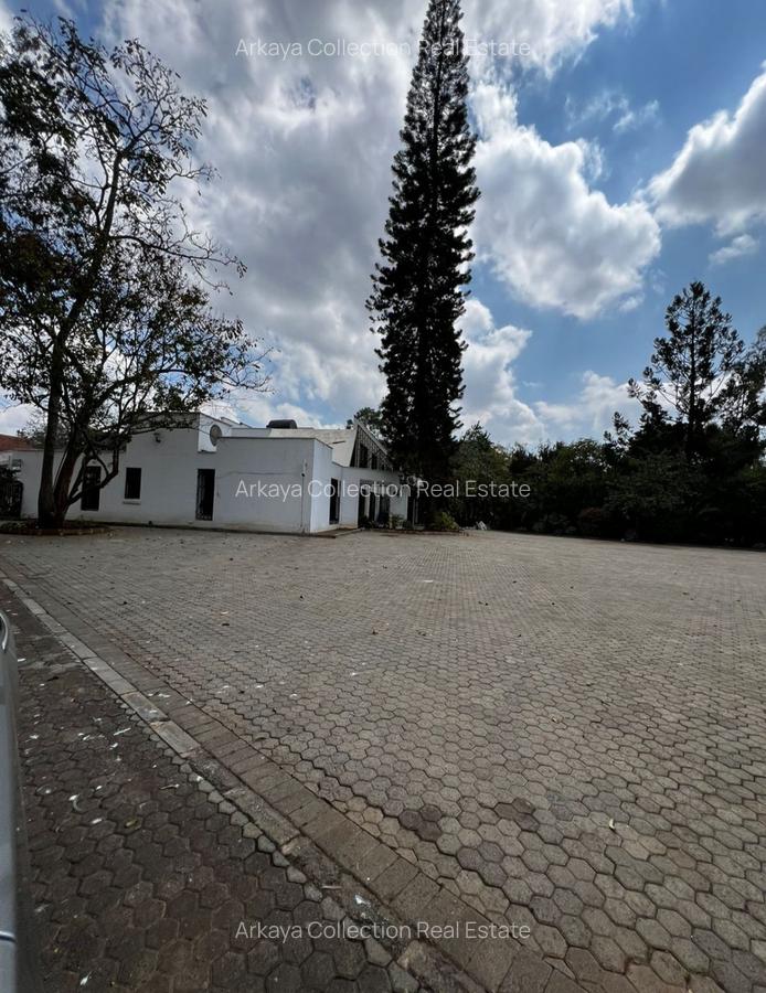 Commercial Property with Backup Generator in Lavington - 2