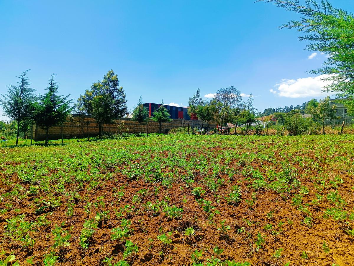 500 m² Residential Land at Runana Area - 1