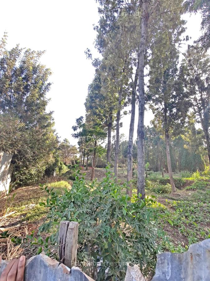 0.3 ac Land at Kabiria - 4