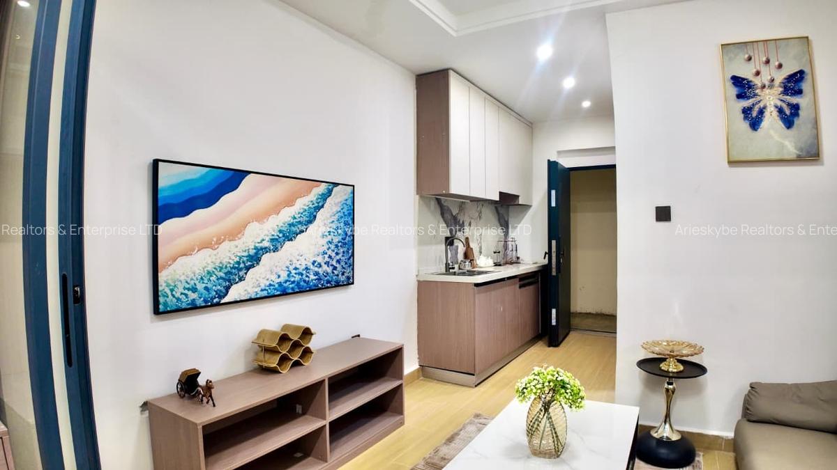 Furnished 1 Bed Apartment with En Suite in Mirema - 18