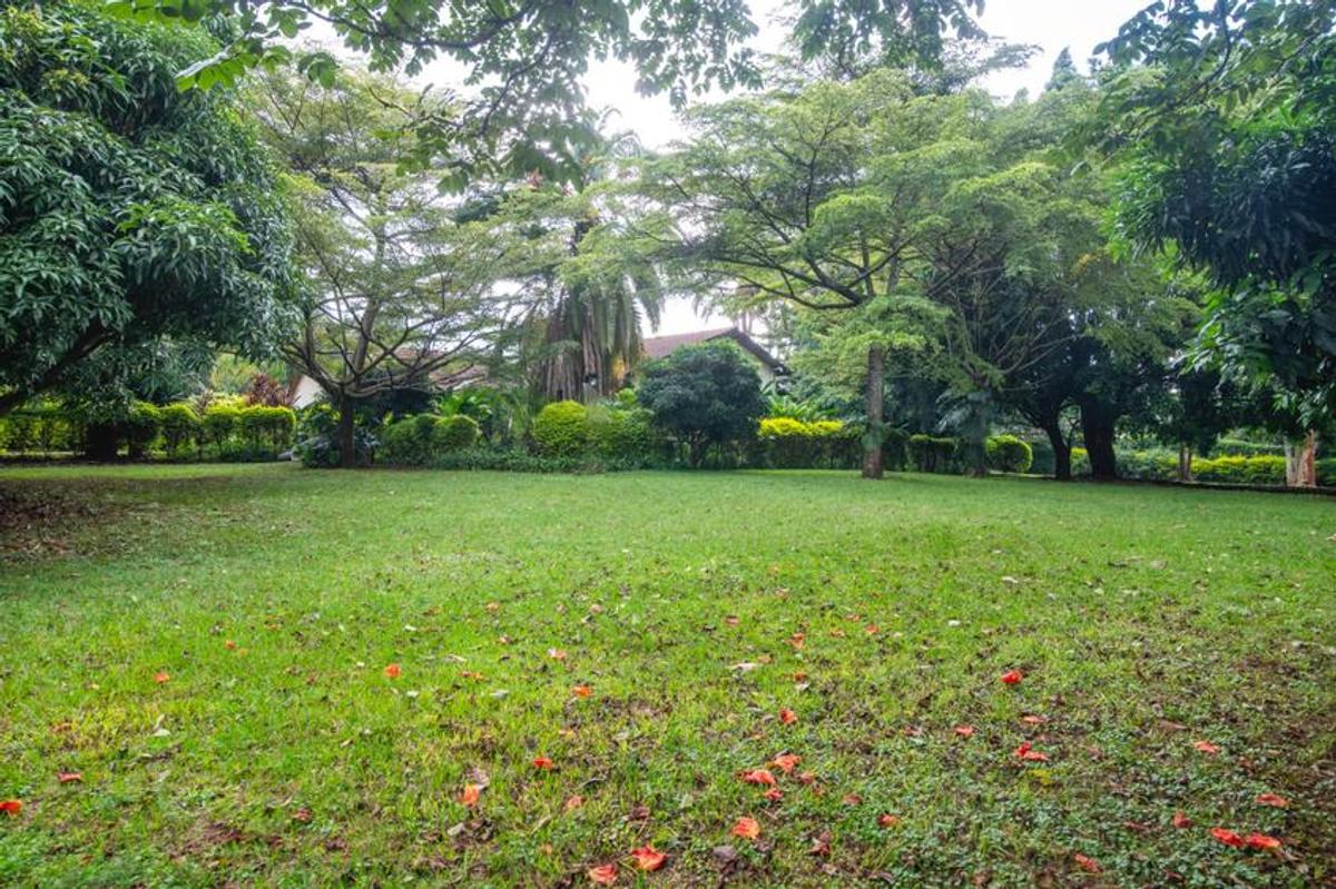 1.25 ac Land in Lavington - 8