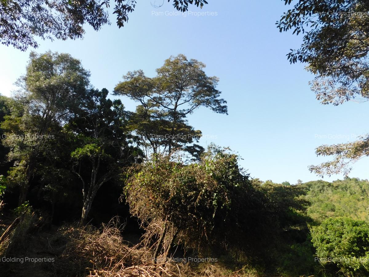 Residential Land in Karen Hardy - 3