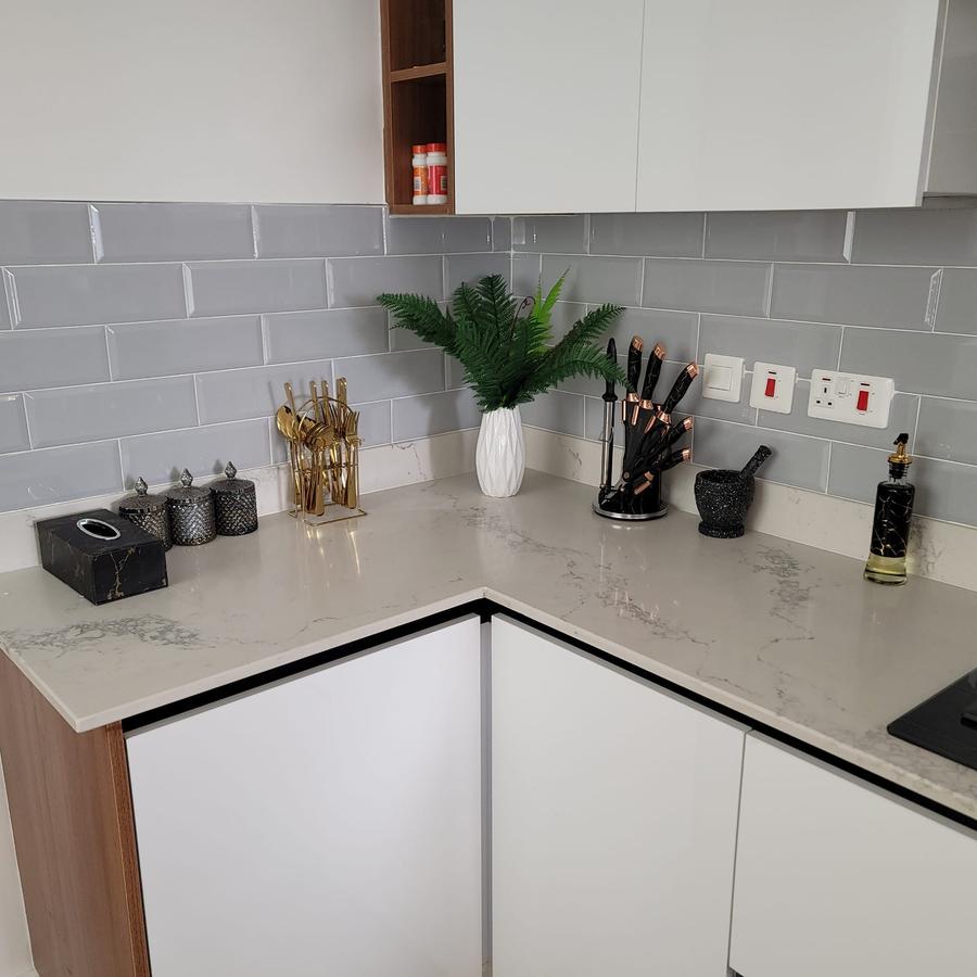 Furnished 2 Bed Apartment with En Suite at Westland - 5