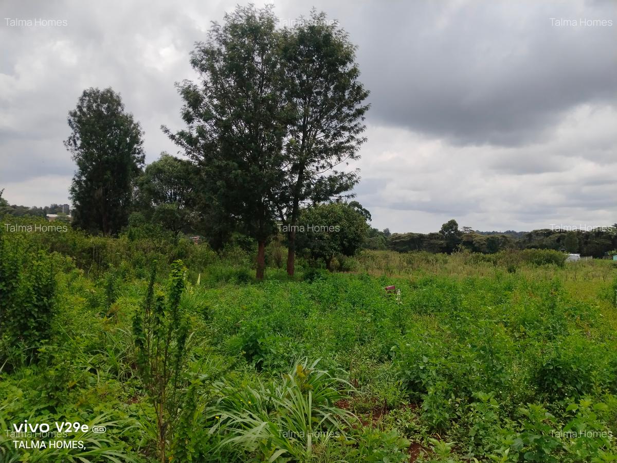 1 ac Land at Kerarapon Drive - 4