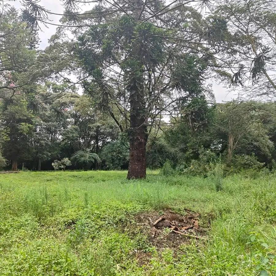 200 ac Land at Kilimani - 7