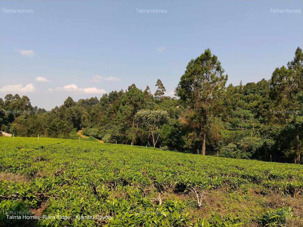 0.75 ac Land at Riara Ridge Area - 2