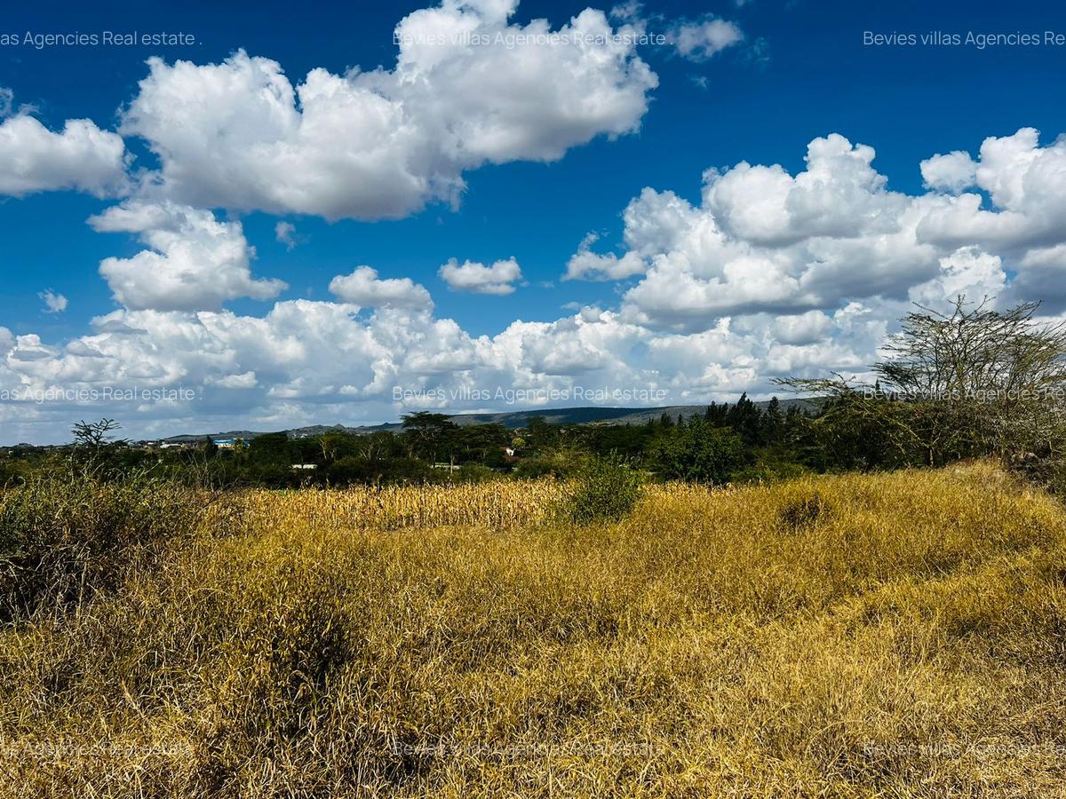 Commercial Land at Athi River - 5