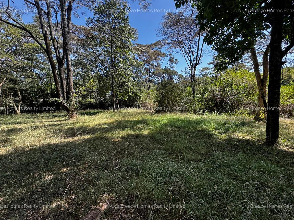 2.7 ac Land in Karen - 10