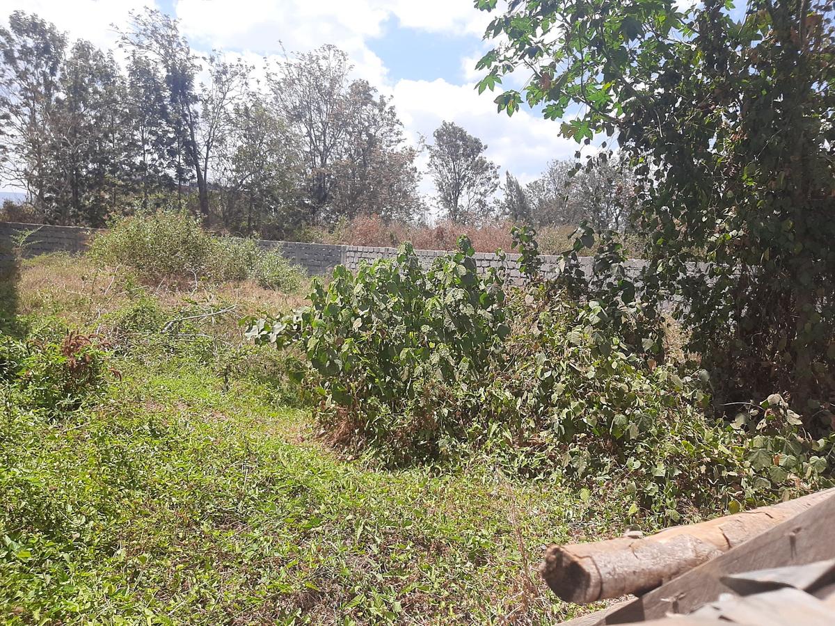 0.125 ac Commercial Land at Machakos Central Business District - 1