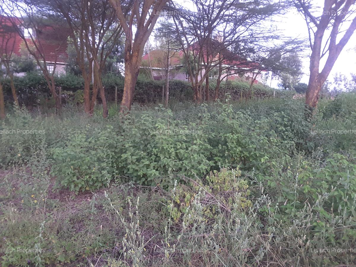 0.5 ac Land in Ongata Rongai - 12