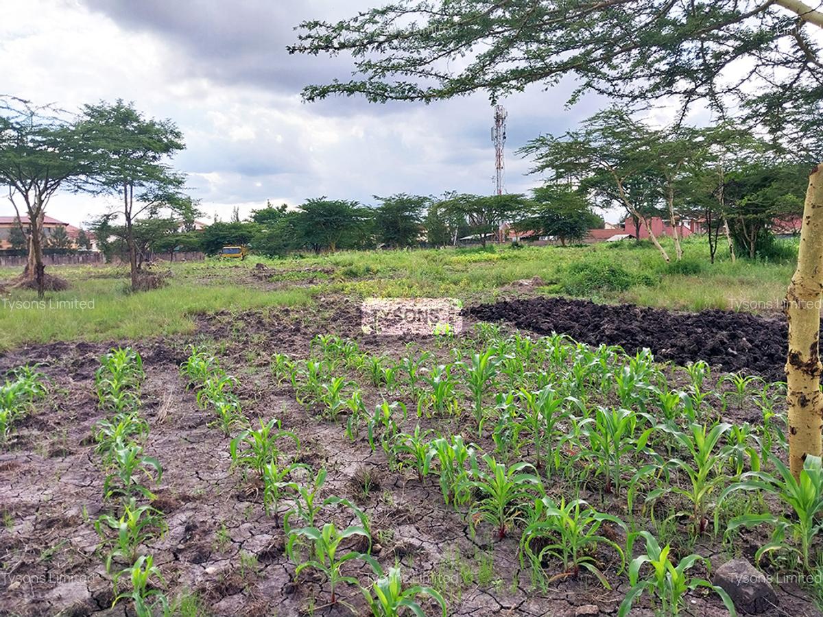 5 ac Commercial Land in South B - 1