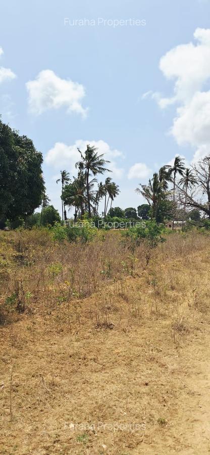 Land in Kilifi - 9