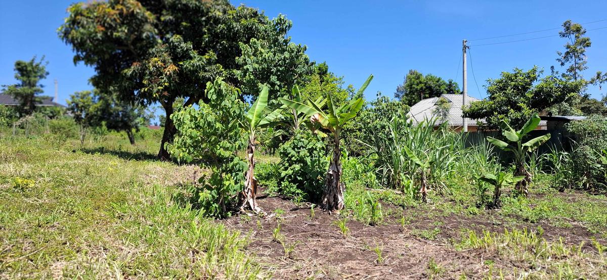 Residential Land at Olkeri - 4