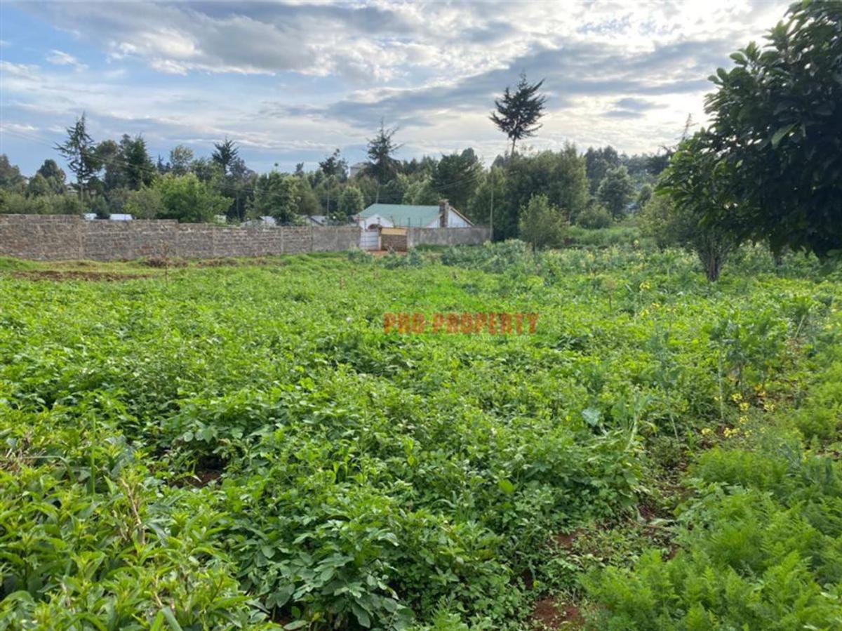 4,000 m² Land in Limuru - 1