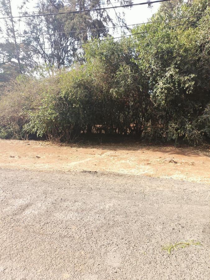 Residential Land at Tumbili Road - 11