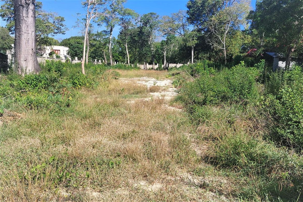 0.5 ac Land at Diani Beach Road - 6