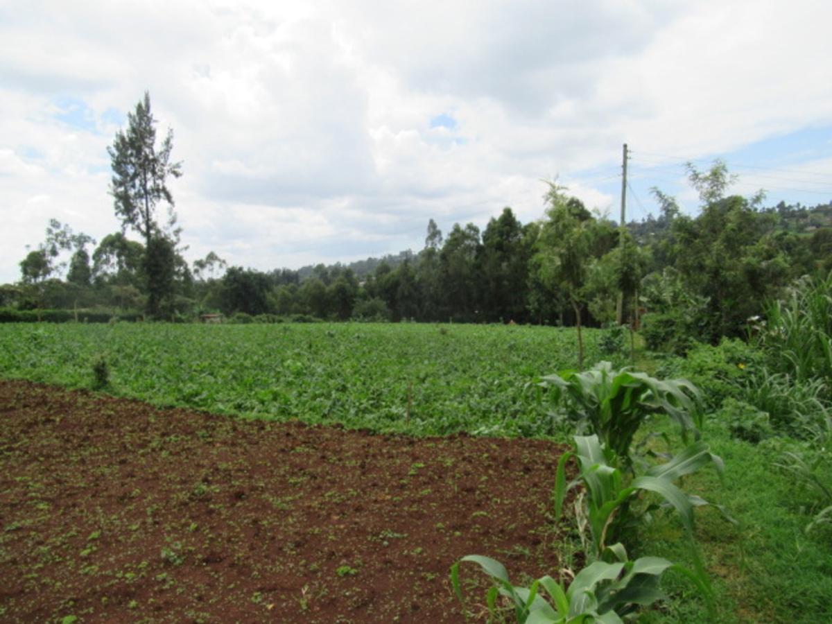 3.25 ac Land at Ngecha-Wangige Rd - 4