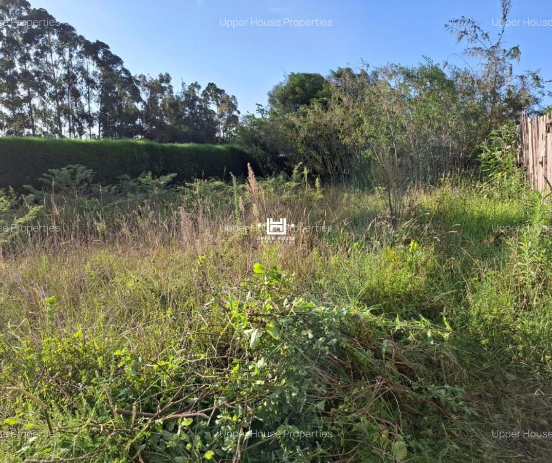 0.25 ac Land in Nanyuki - 3