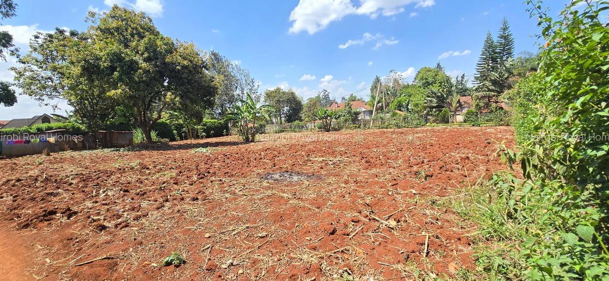 Residential Land at Runda Road - 20