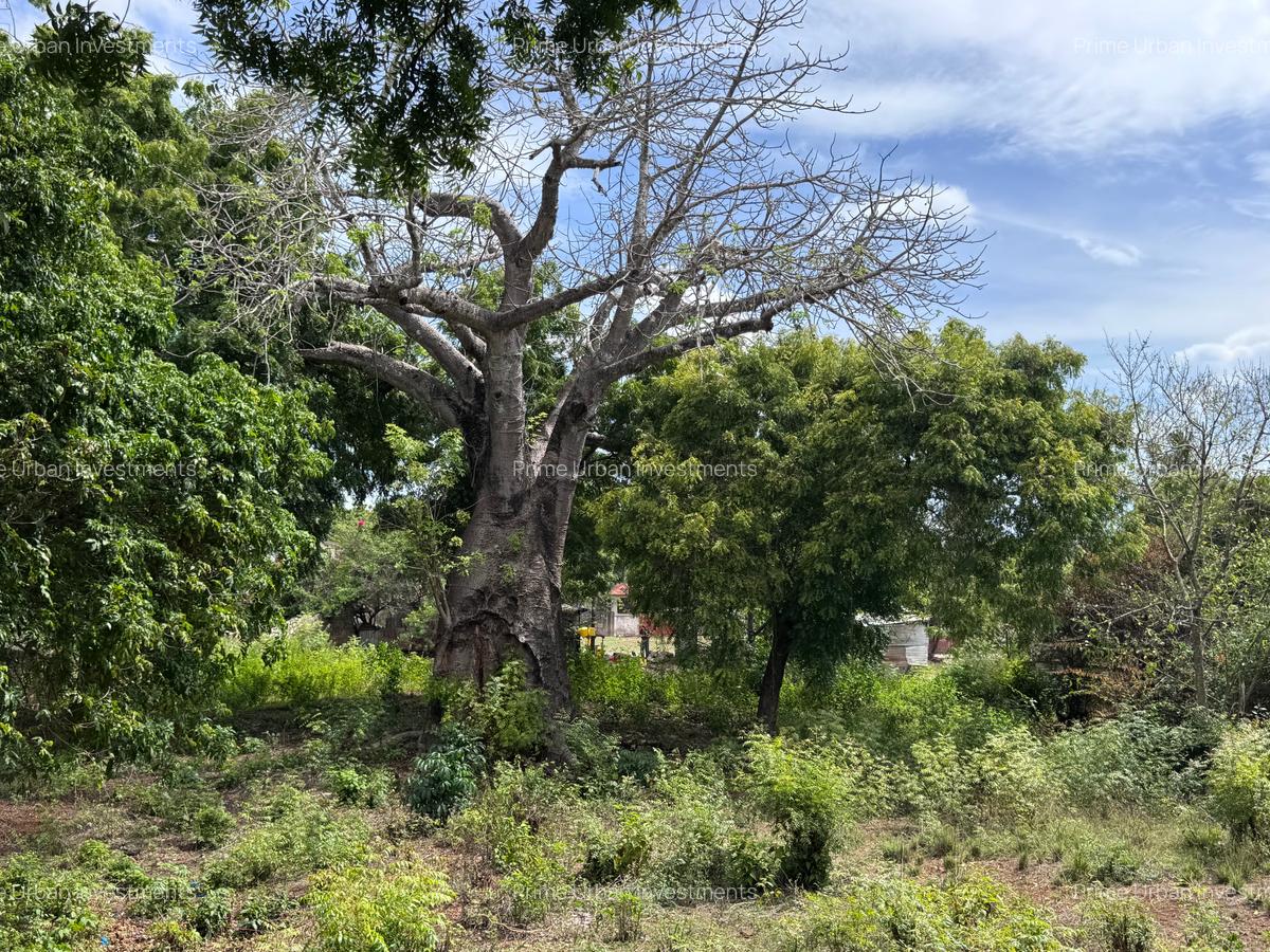 8,093.72 m² Land at Diani 3Rd Row Beach - 13