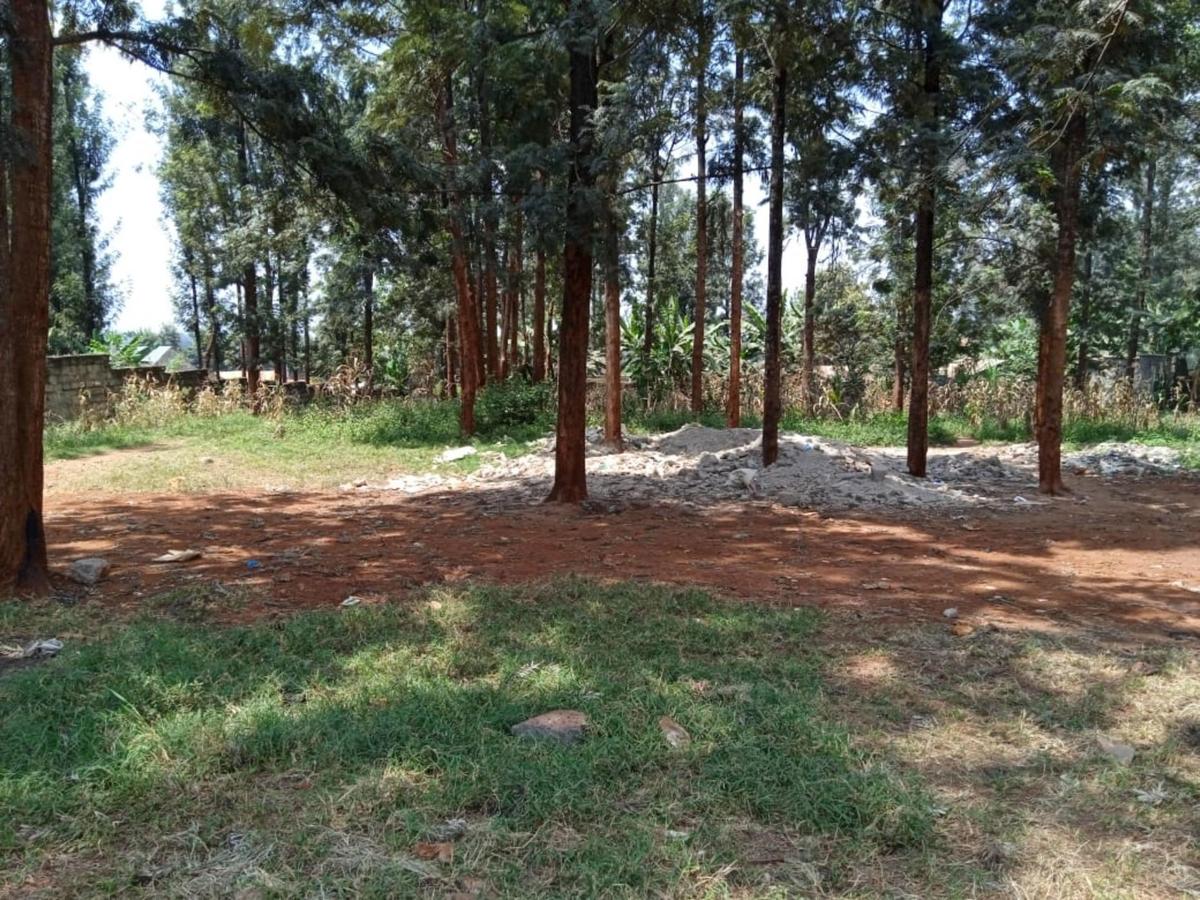 0.75 ac Residential Land at Thindigua - 5