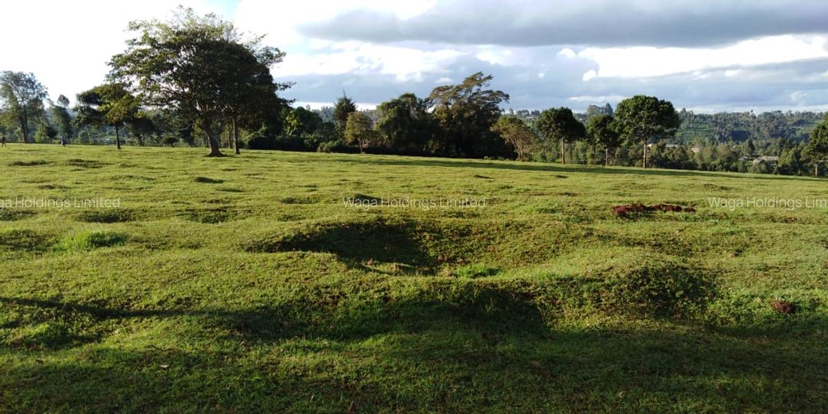 21 ac Land in Cianda - 6