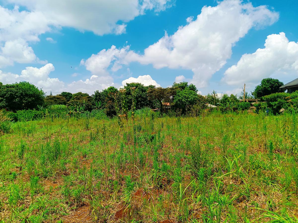 1,000 m² Residential Land at Riu-Nderi - 3