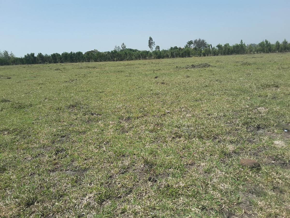 2 ac Residential Land in Ongata Rongai - 15