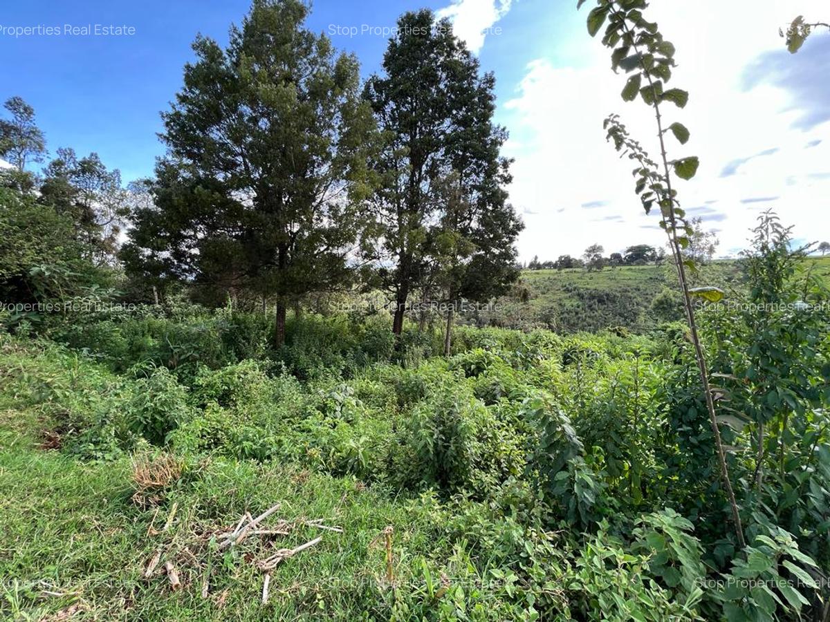 Land in Tigoni - 6