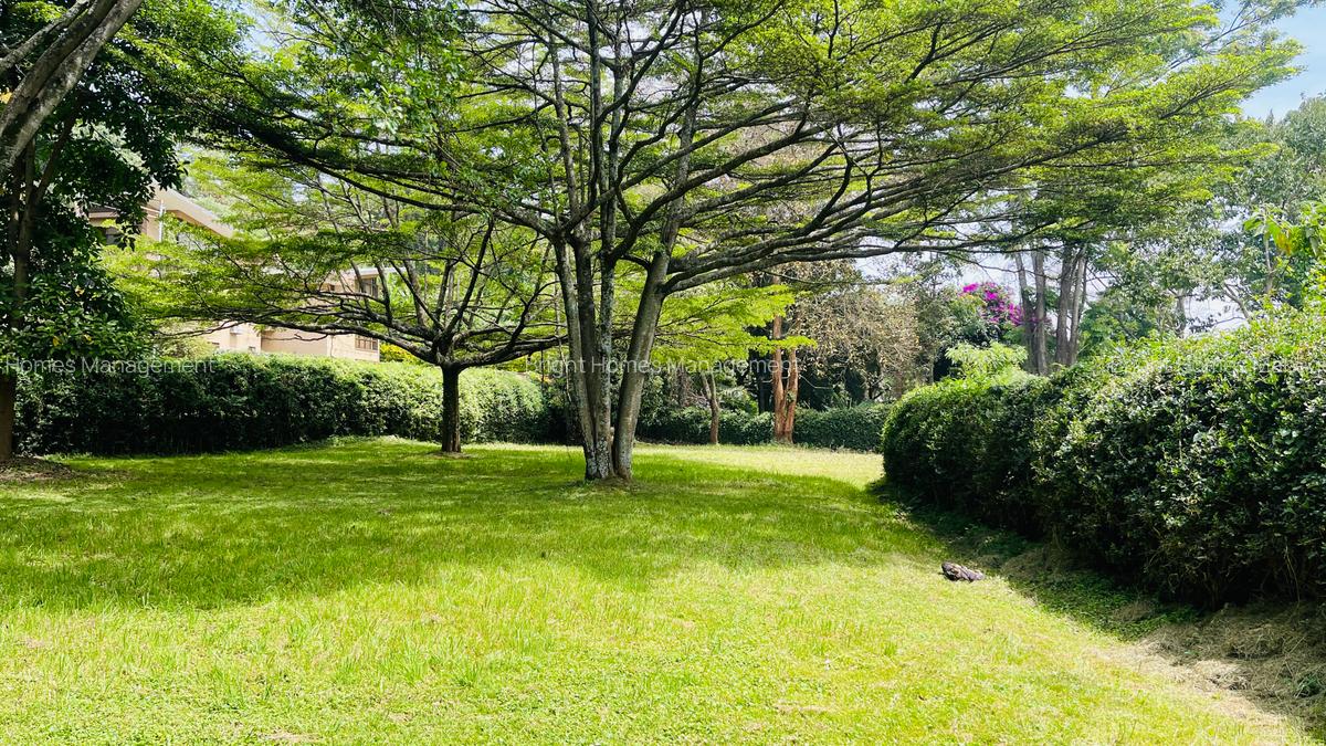 Residential Land in Lavington - 7