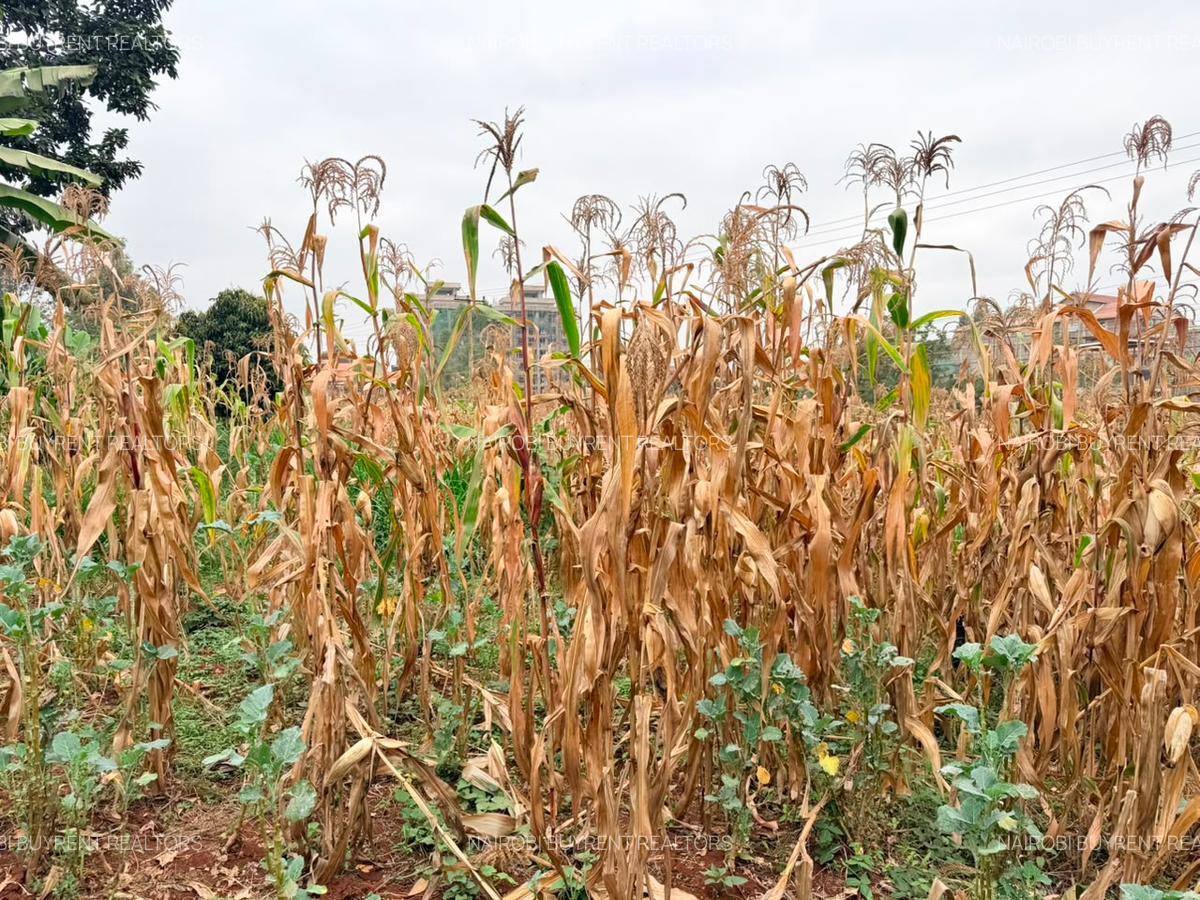 1.2 ac Land in Lower Kabete - 8