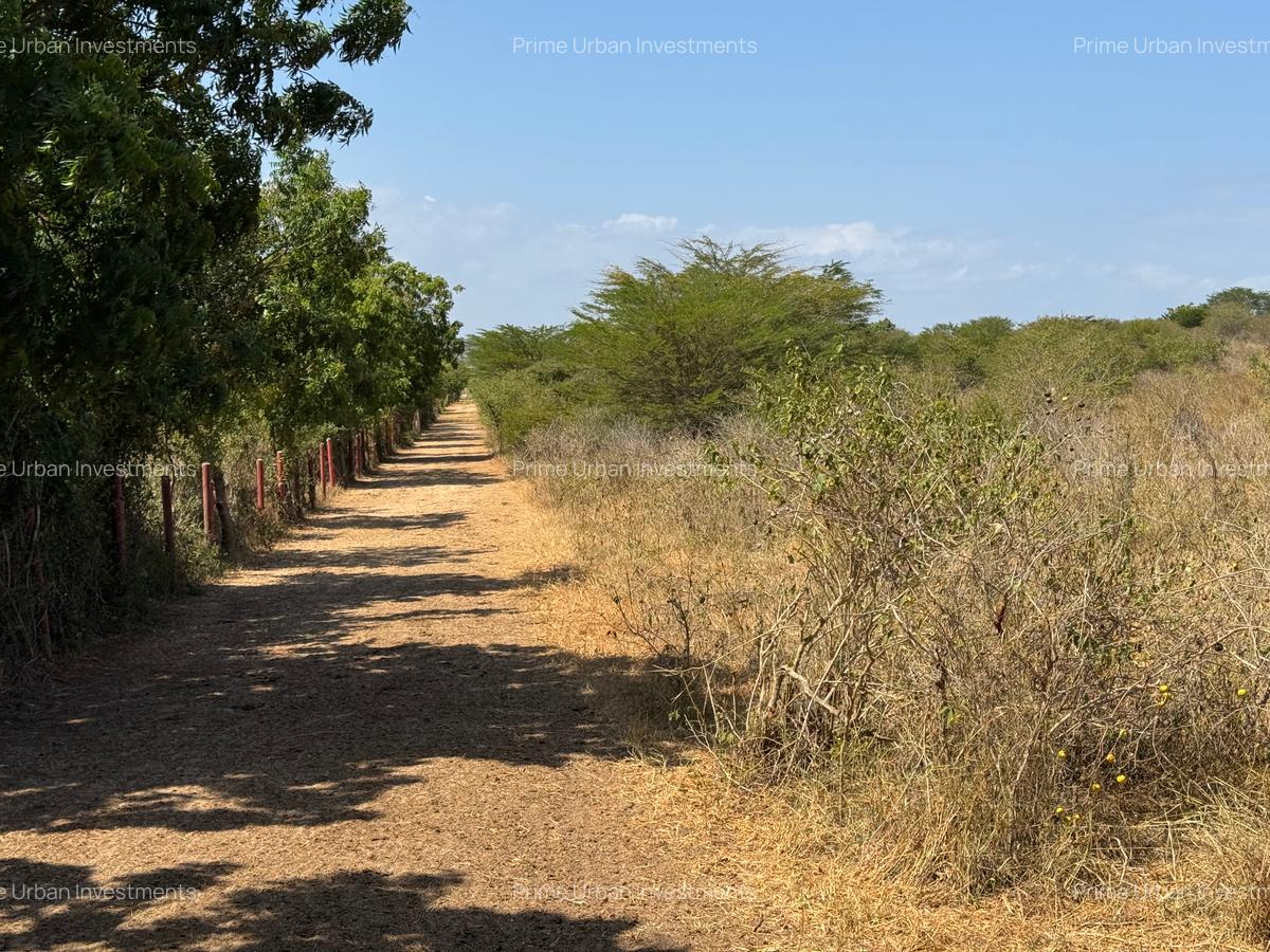 175 ac Land at Kilifi Creek - 16