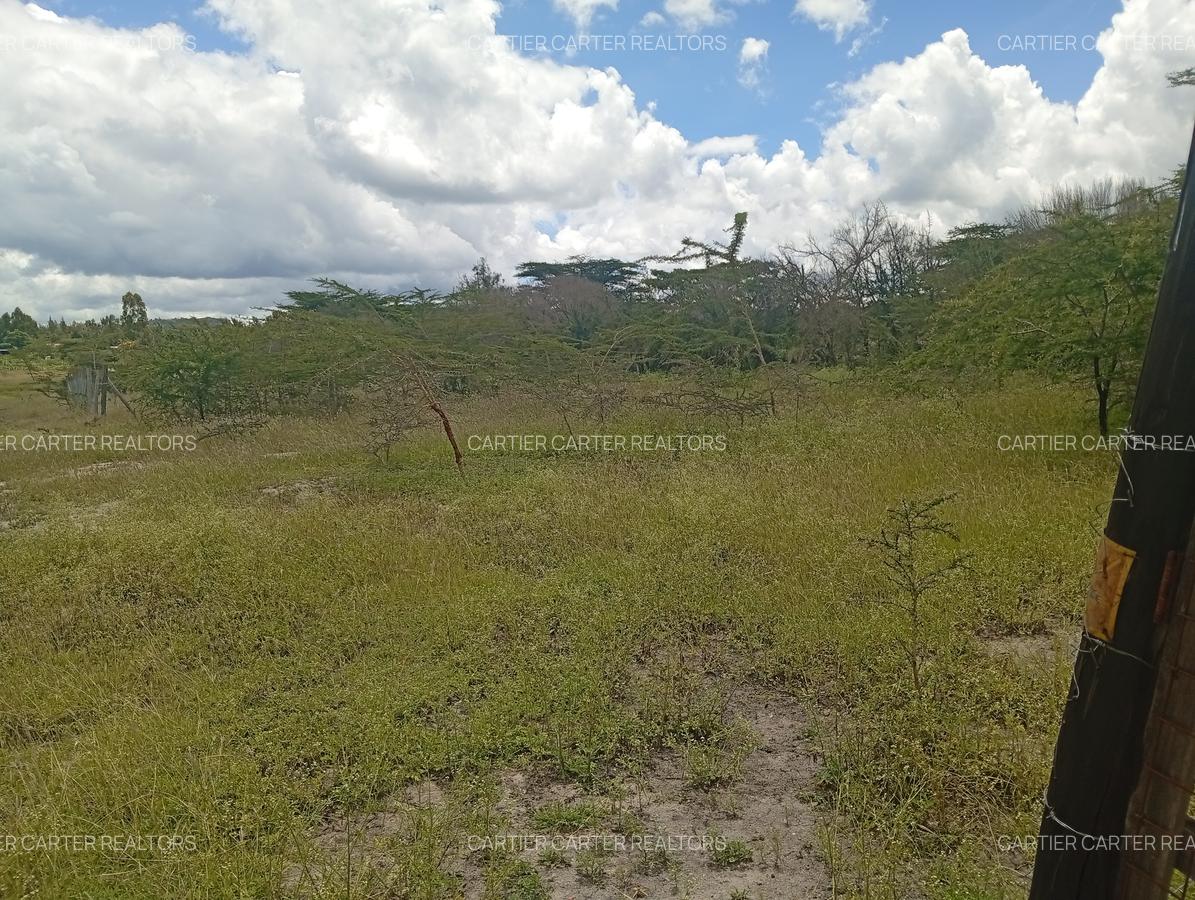 0.125 ac Land at Kyumvi Junction - 2