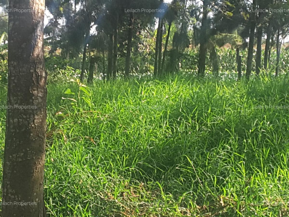 1.2 ac Land in Ngong - 9