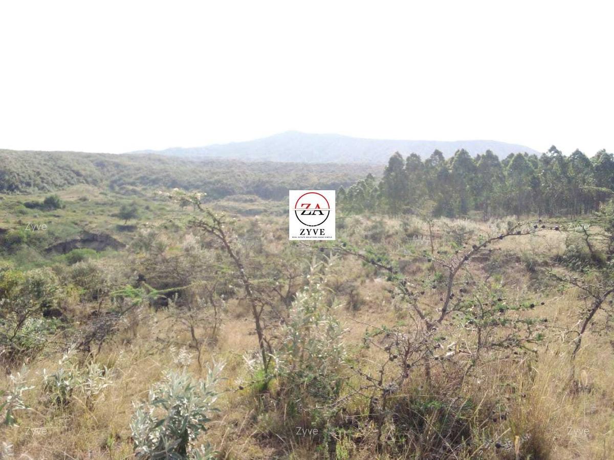 18 ac Land at Swara Ranch - 5