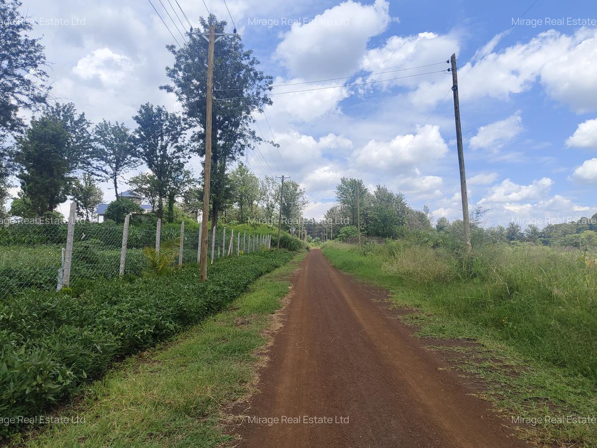 0.25 ac Residential Land in Tatu City - 5