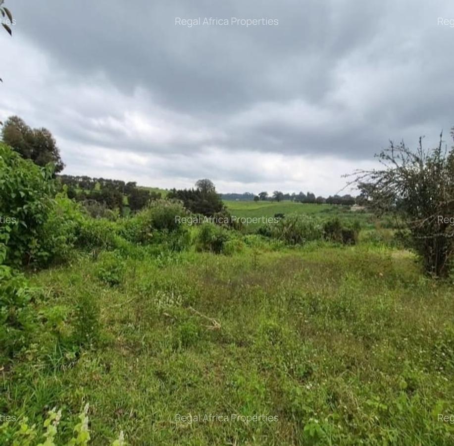 3 ac Land at Nazareth Road - 1
