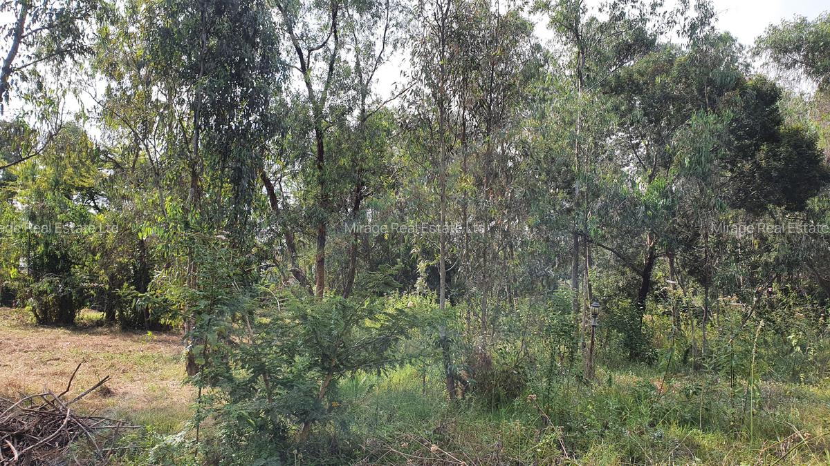 Land in Karen - 2