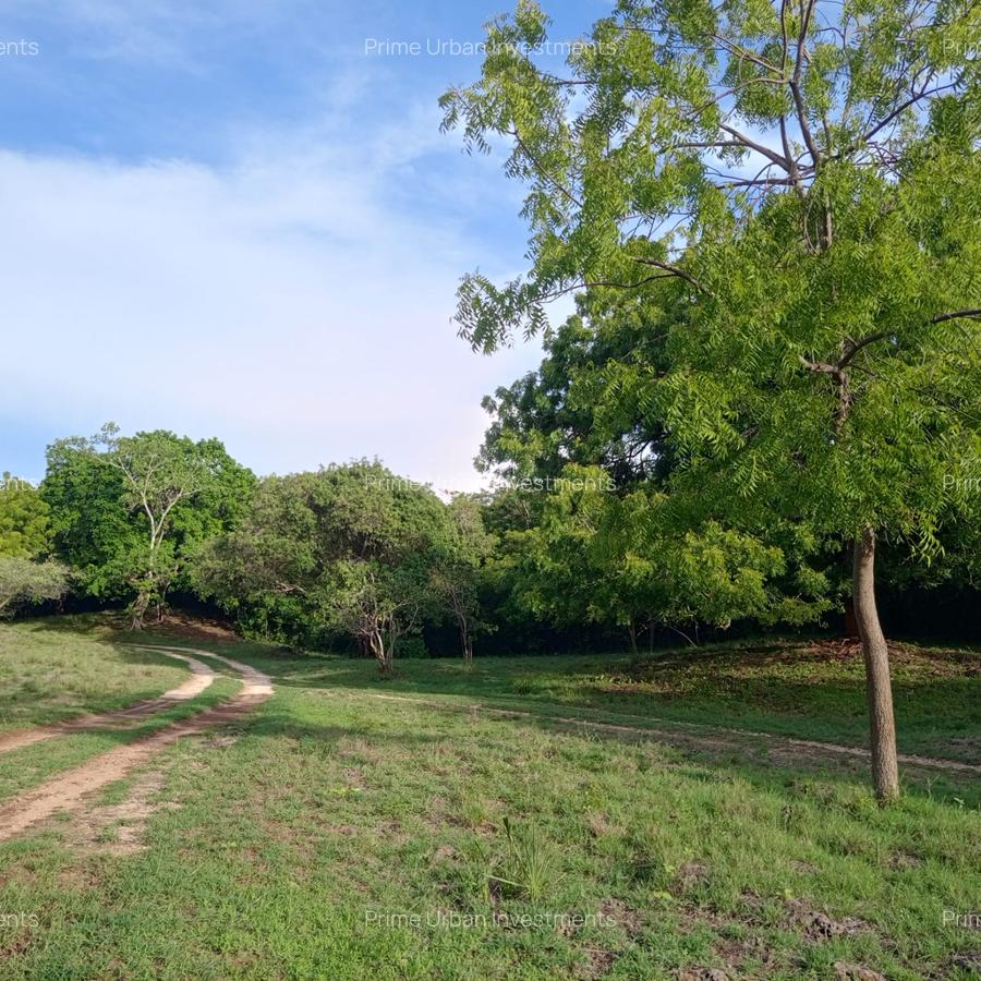 90 ac Residential Land at Kuruwitu-Vipingo - 4