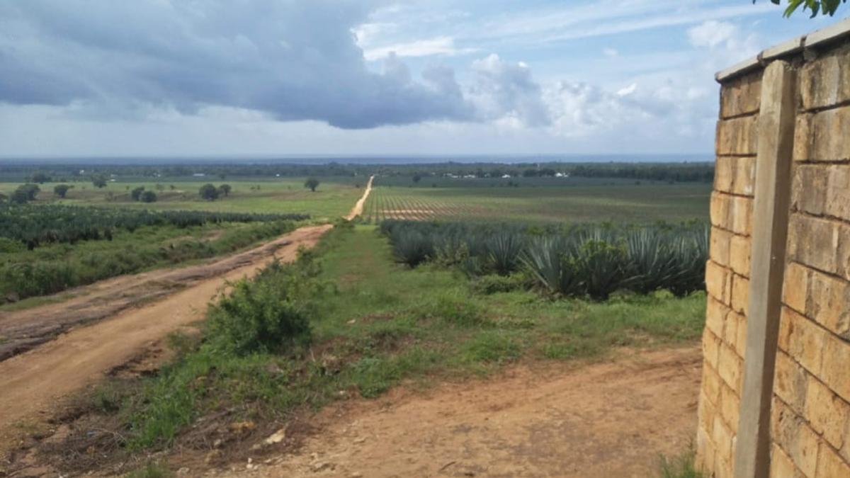 Land in Vipingo - 8