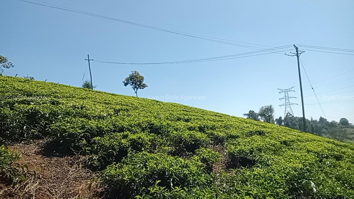 Residential Land in Tigoni - 12