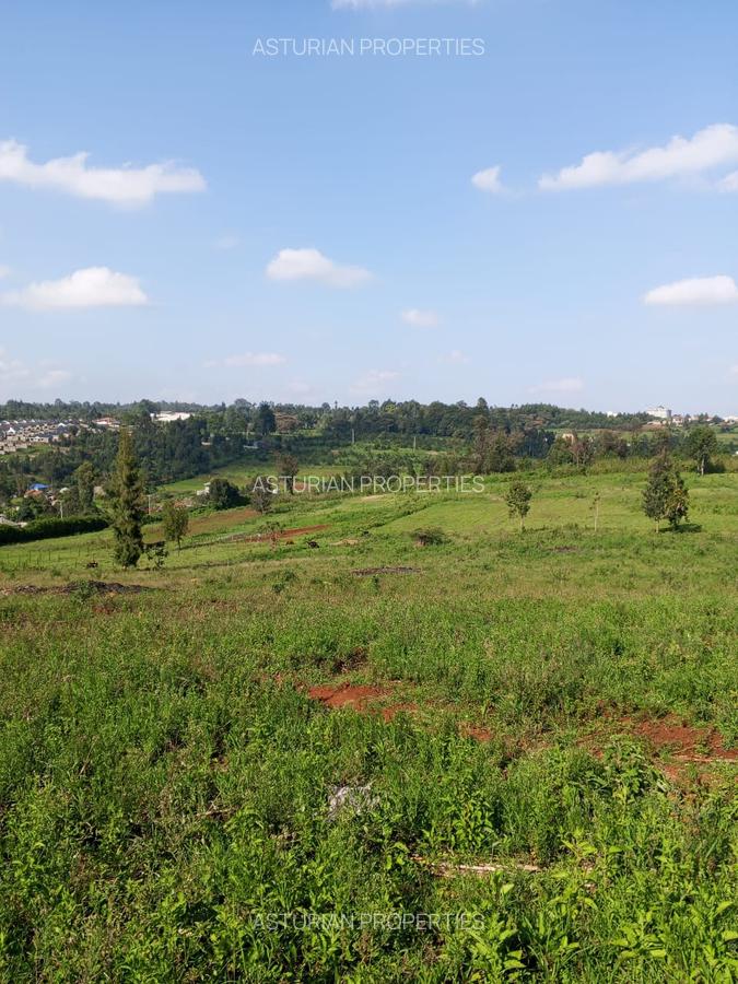 Land in Kikuyu Town - 19