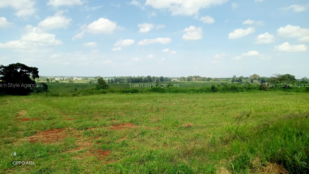Residential Land in Runda - 9