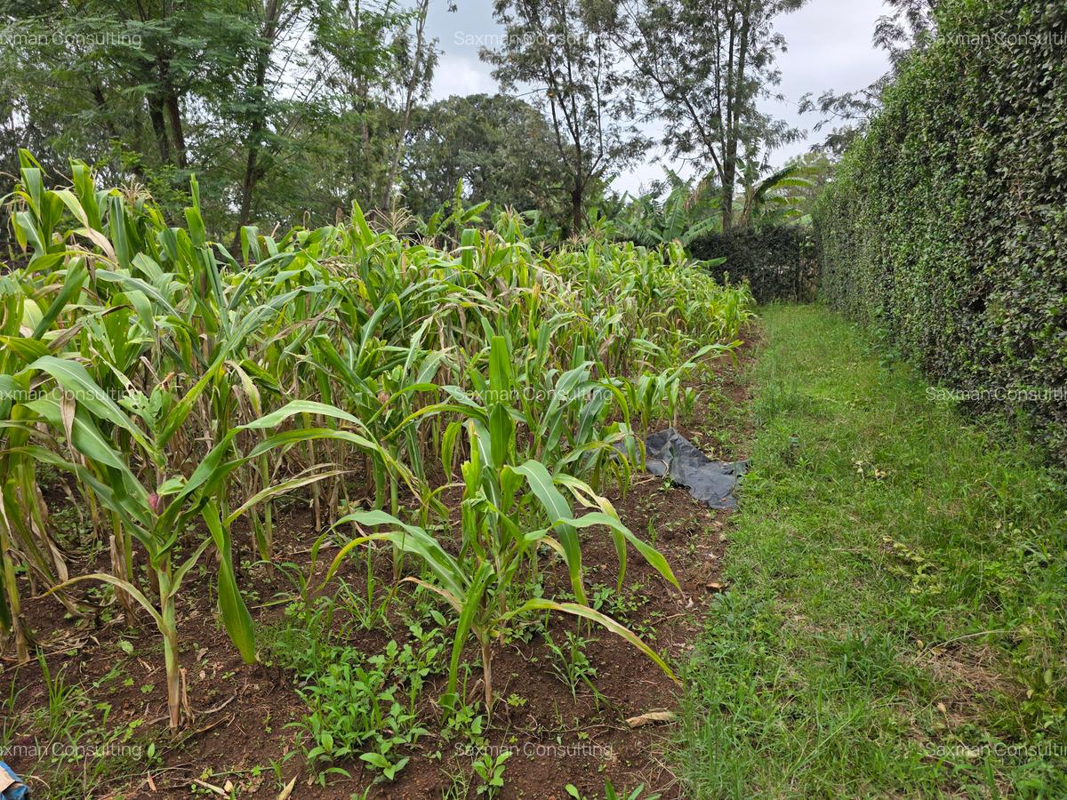 Residential Land in Karen - 4