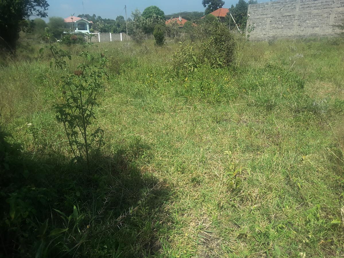 0.25 ac Residential Land in Ongata Rongai - 13